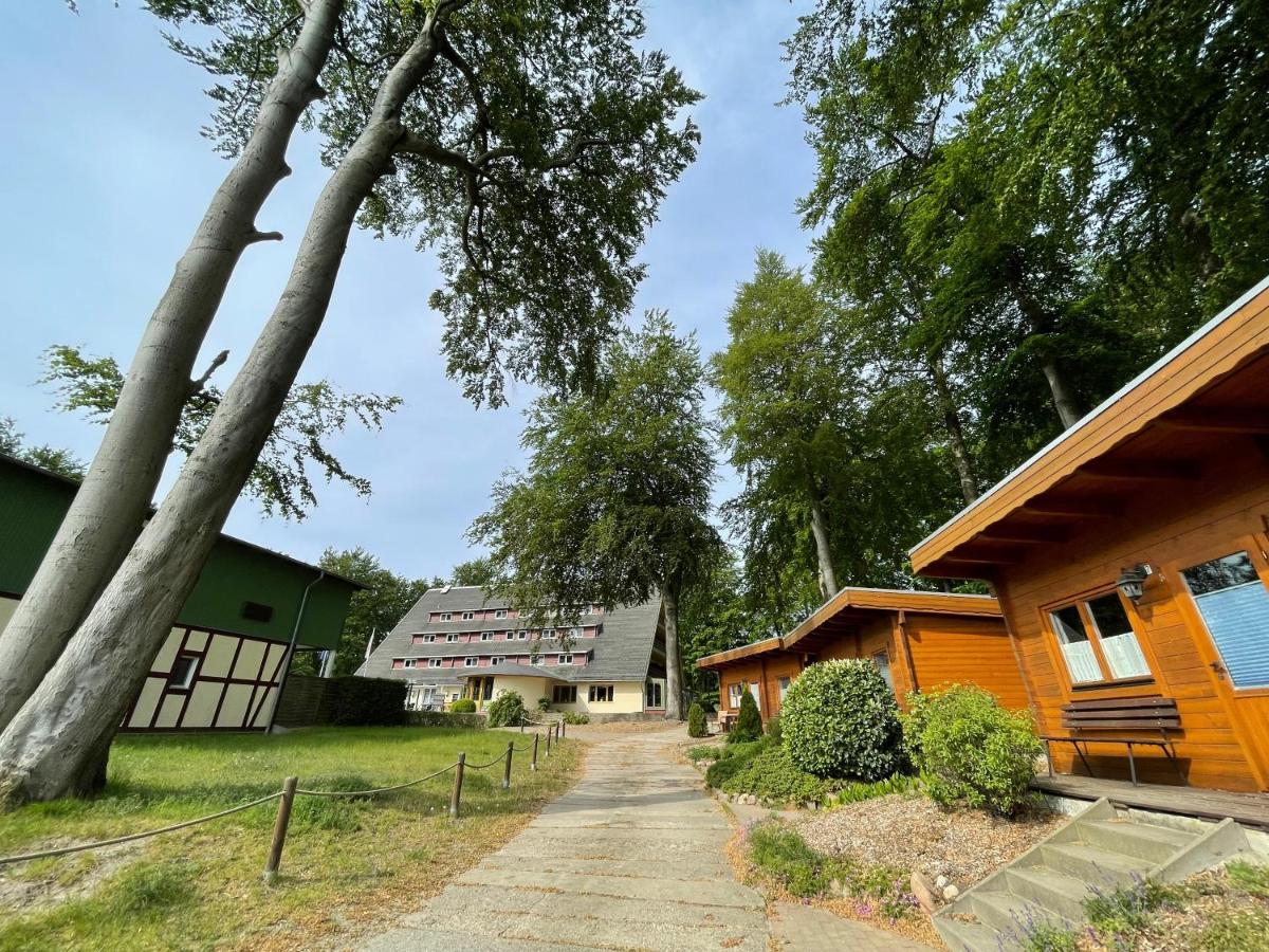 Forsthaus Langenberg Ξενοδοχείο Χέρινγκσντορφ Εξωτερικό φωτογραφία