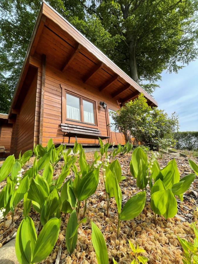 Forsthaus Langenberg Ξενοδοχείο Χέρινγκσντορφ Εξωτερικό φωτογραφία